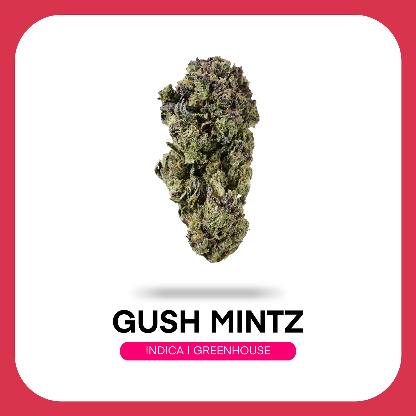 At JK Distro, we're committed to making premium hemp accessible to everyone. Gush Mintz reflects our dedication to delivering high-quality THCA flower with refreshing mint flavors, exceptional craftsmanship, and outstanding value for every type of consumer.