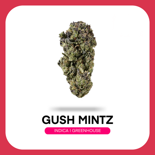 At JK Distro, we're committed to making premium hemp accessible to everyone. Gush Mintz reflects our dedication to delivering high-quality THCA flower with refreshing mint flavors, exceptional craftsmanship, and outstanding value for every type of consumer.