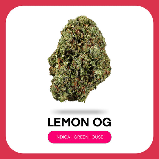 At JK Distro, we're committed to making premium hemp accessible to everyone. Lemon OG reflects our dedication to delivering high-quality THCA flower with vibrant citrus flavor, exceptional craftsmanship, and outstanding value for every type of consumer.