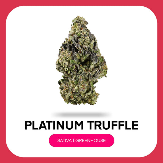 At JK Distro, we're committed to making premium hemp accessible to everyone. Platinum Truffle reflects our dedication to delivering exceptional THCA flower with outstanding flavor, quality, and value for every type of consumer.